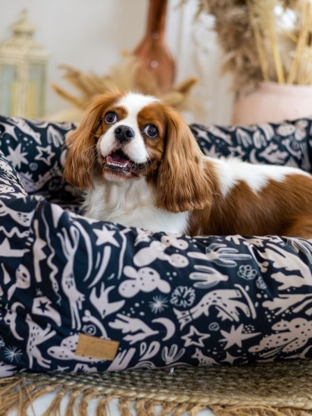 Orthopedic bed for a dog SONO WestWOOF story