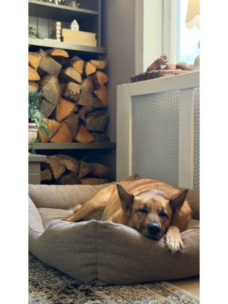 Moe dog bed Waterproof - SandPAWs