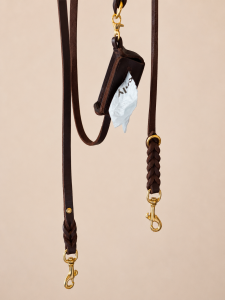 Braided Leather Dog Leash with Brass Fittings, Brown