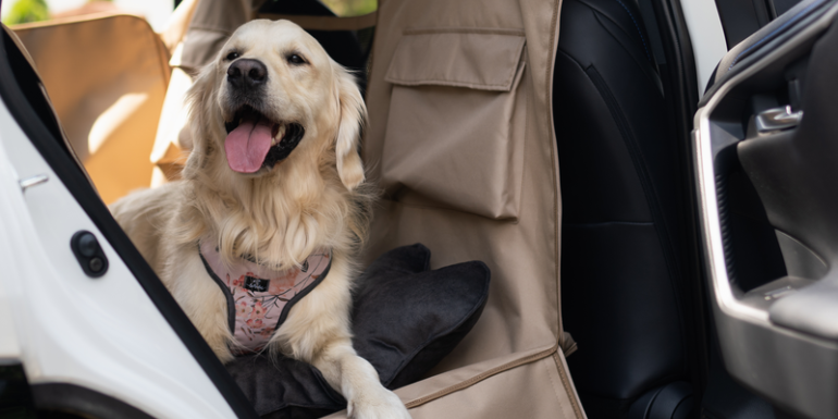 Nowa mata samochodowa dla psa Kuko+ - bezpieczna podróż, lepsze dopasowanie i prostszy wybór