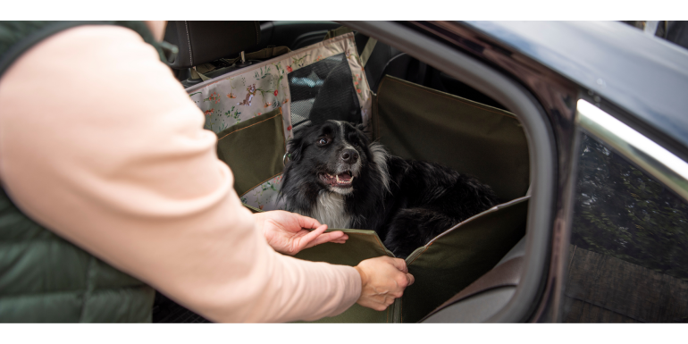 Fotelik samochodowy dla psa czy mata? Co wybrać, żeby bezpiecznie przewozić psa w samochodzie