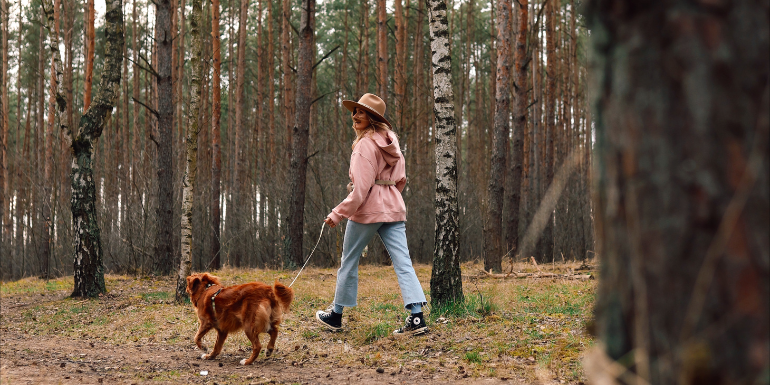 Dlaczego pies nie chce wychodzić na spacer?
