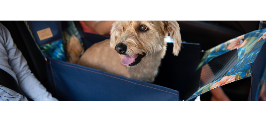 Middle of the rear seat