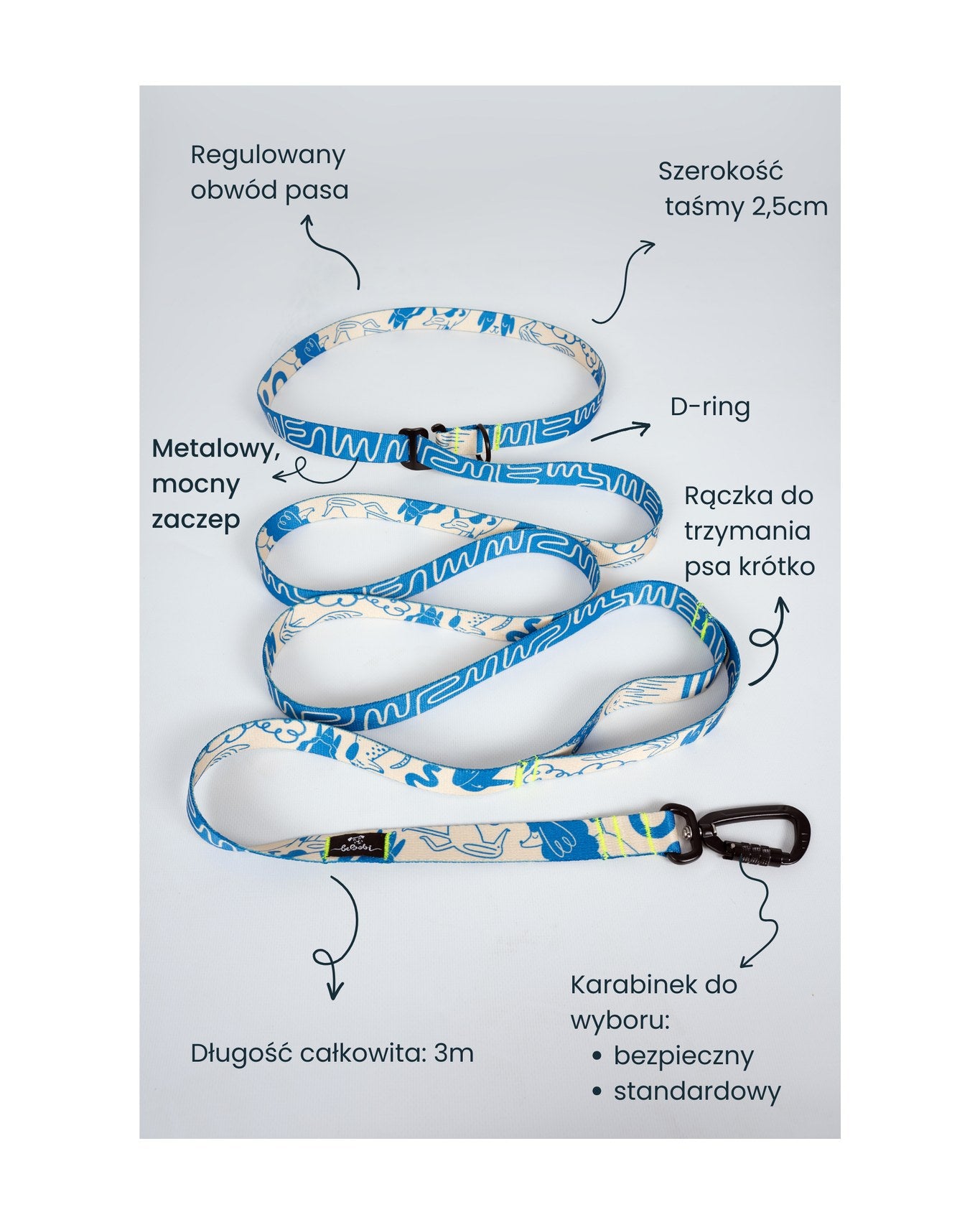Regulacja smyczy biodrowej — schemat
