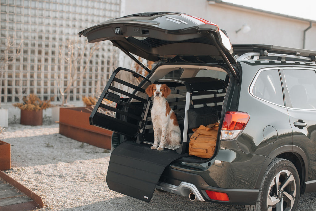 Klatka do bagażnika dla psa Thule® Allax – crash test, TÜV certyfikat