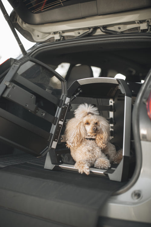 Klatka do bagażnika dla psa Thule® Allax – crash test, TÜV certyfikat