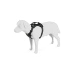 Thule® Cappy crash-tested dog car harness, TÜV certified