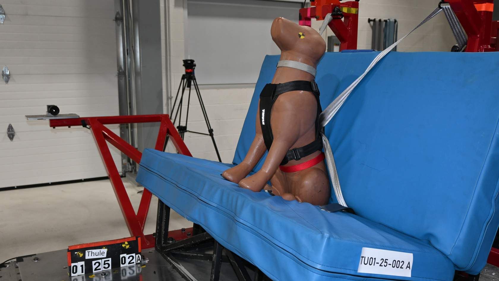 Szelki samochodowe dla psa Thule® Cappy crash test, certyfikat TÜV