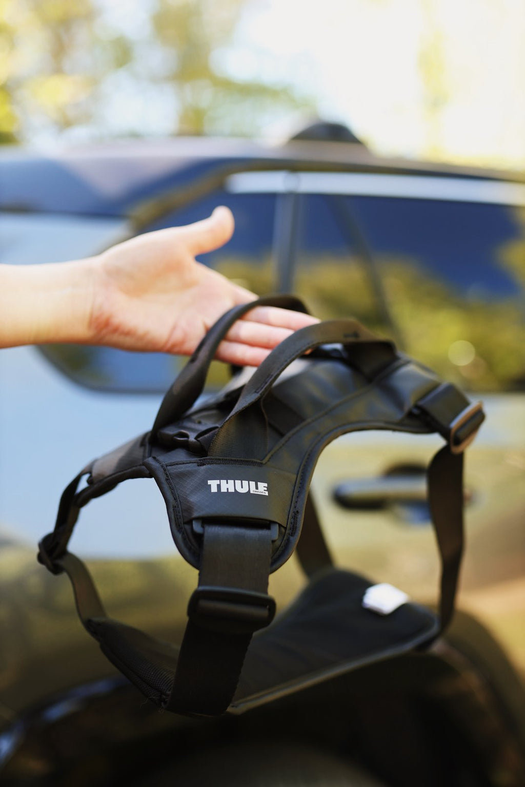 Thule® Cappy crash-tested dog car harness, TÜV certified