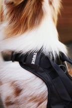 Thule® Cappy crash-tested dog car harness, TÜV certified