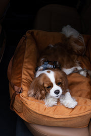 "Ero Soft" dog car seat WITH SEAT BELT