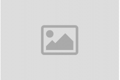 Jak chronić tapicerkę samochodu przed psem wiosną i zadbać o bezpieczeństwo?